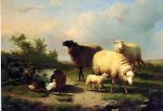 Sheep 154